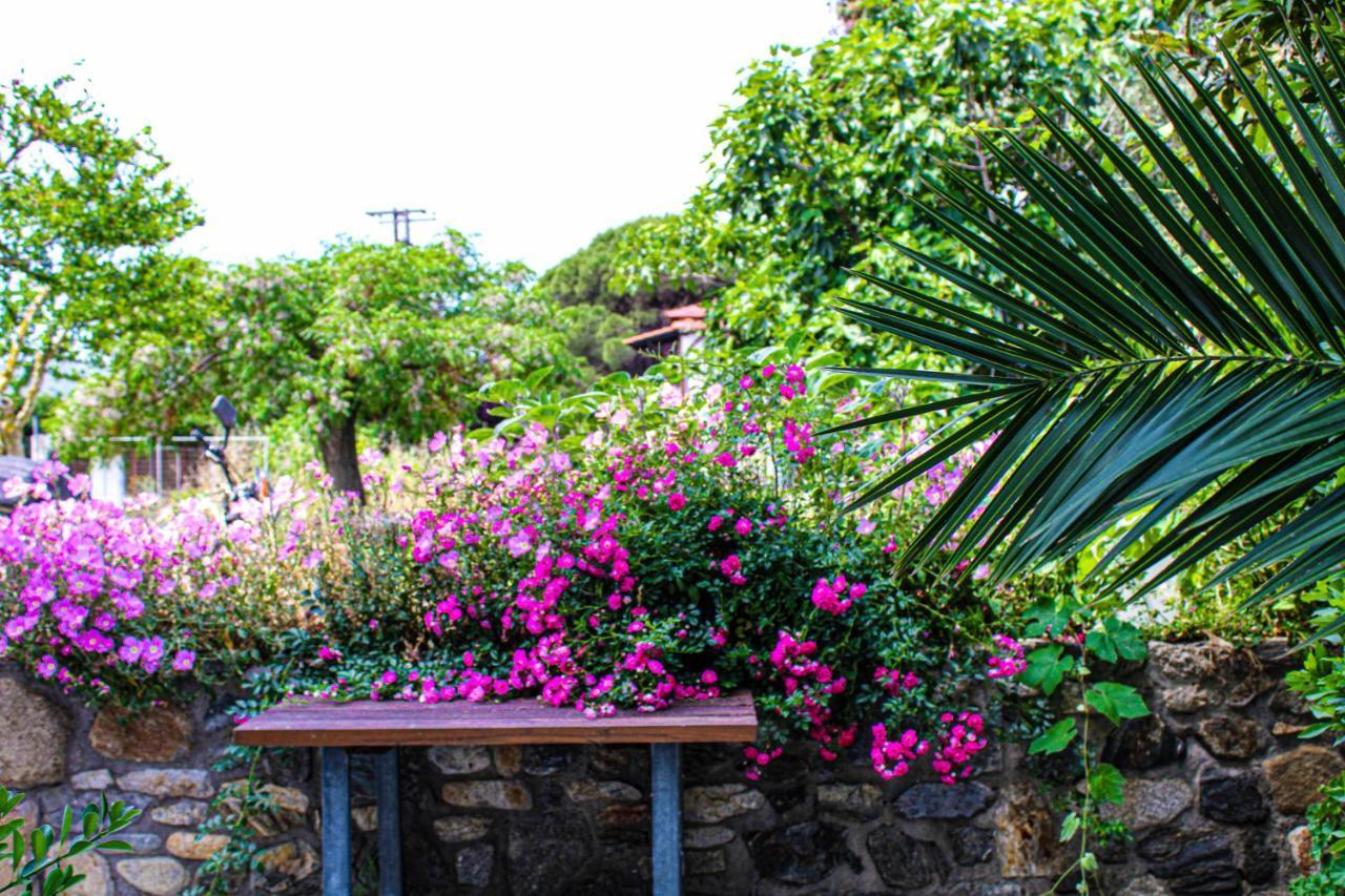 Theano Studios Paralia Sikias ภายนอก รูปภาพ